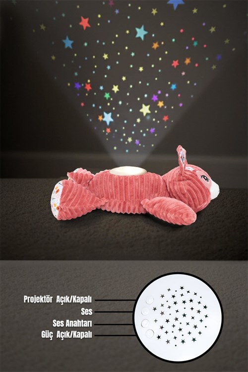 Prego Müzikli ve Gece Işıklı Ceylan P210622