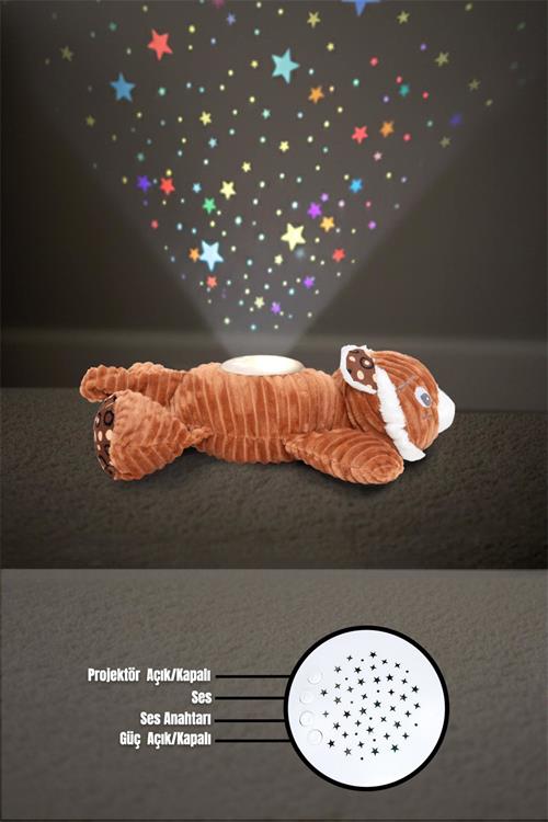 Prego Müzikli ve Gece Işıklı Kaplan P210610