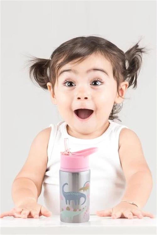 Stephen Joseph Pipetli Paslanmaz Çelik Suluk Pembe Dinozor SJ117559A