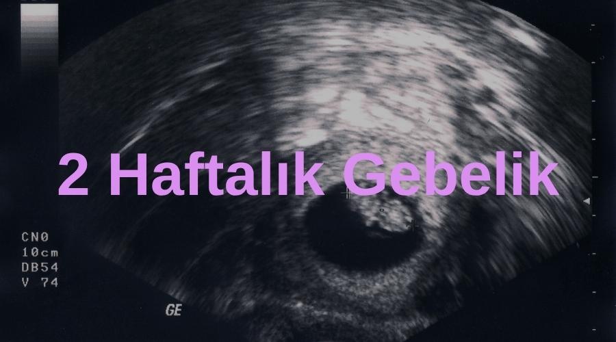 Pembe renkte 2 haftalık gebelik başlıklı ultrason görüntüsü kapak görseli.