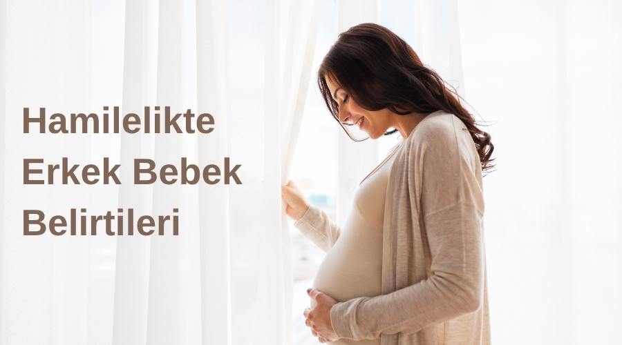 Hamilelikte erkek bebek belirtileri başlıklı bir annenin gülerek cam kenarında karnına baktığı kapak görseli