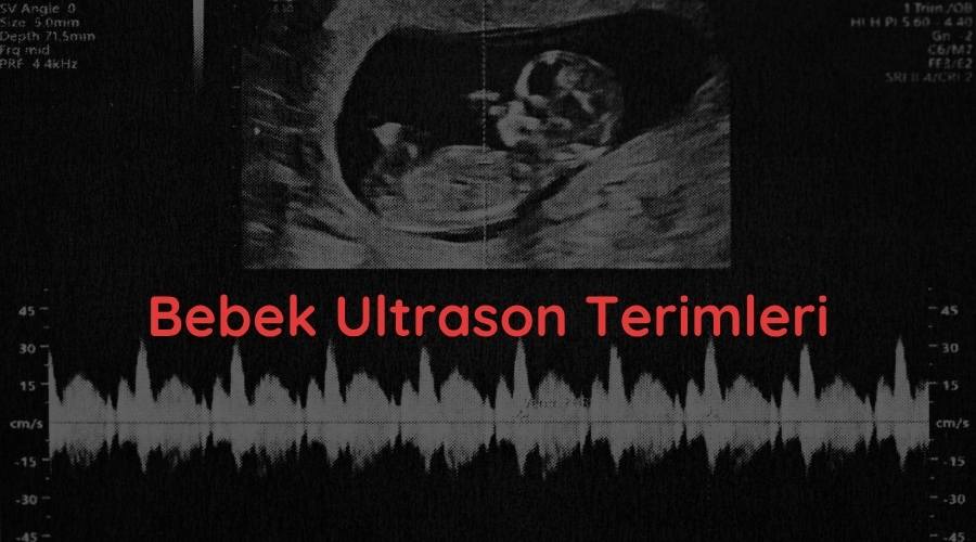 Bebek ultrason terimleri başlıklı bebek ultrason görüntüsü arkaplanlı kapak görselidir.