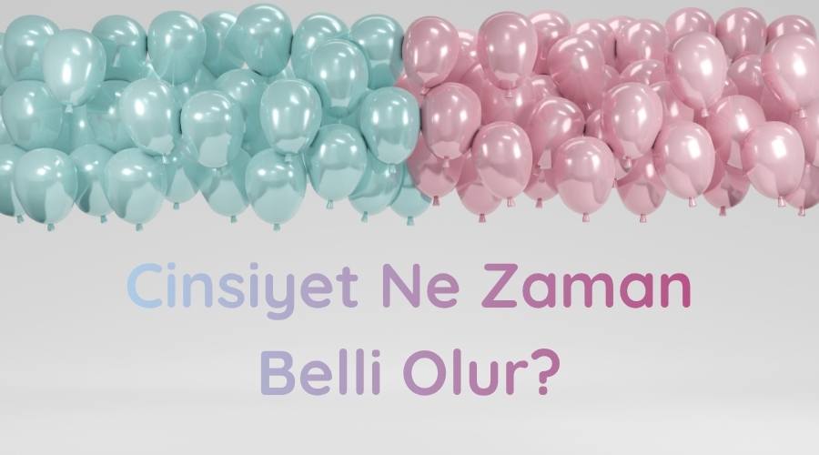 Sol üst tarafta mavi sağ üst tarafta pembe balonların altında yer alan cinsiyet ne zaman belli olur başlıklı kapak görseli.