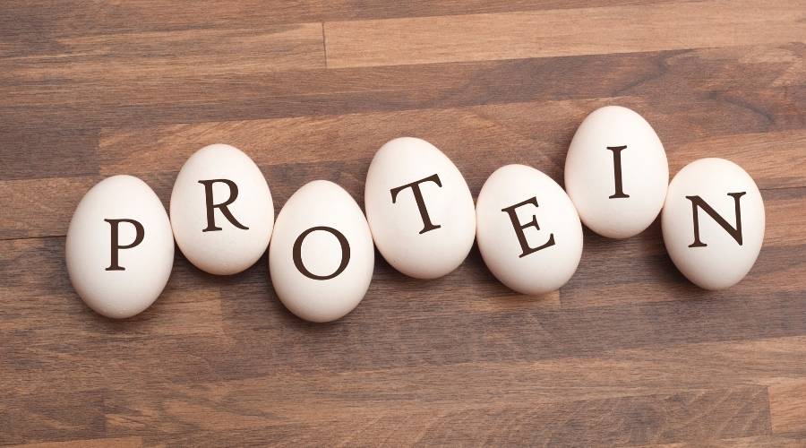 P r o t e i ve n harfleri ile sıralanmış yumurtalar günlük protein ihtiyacı hesaplama kapak görsel