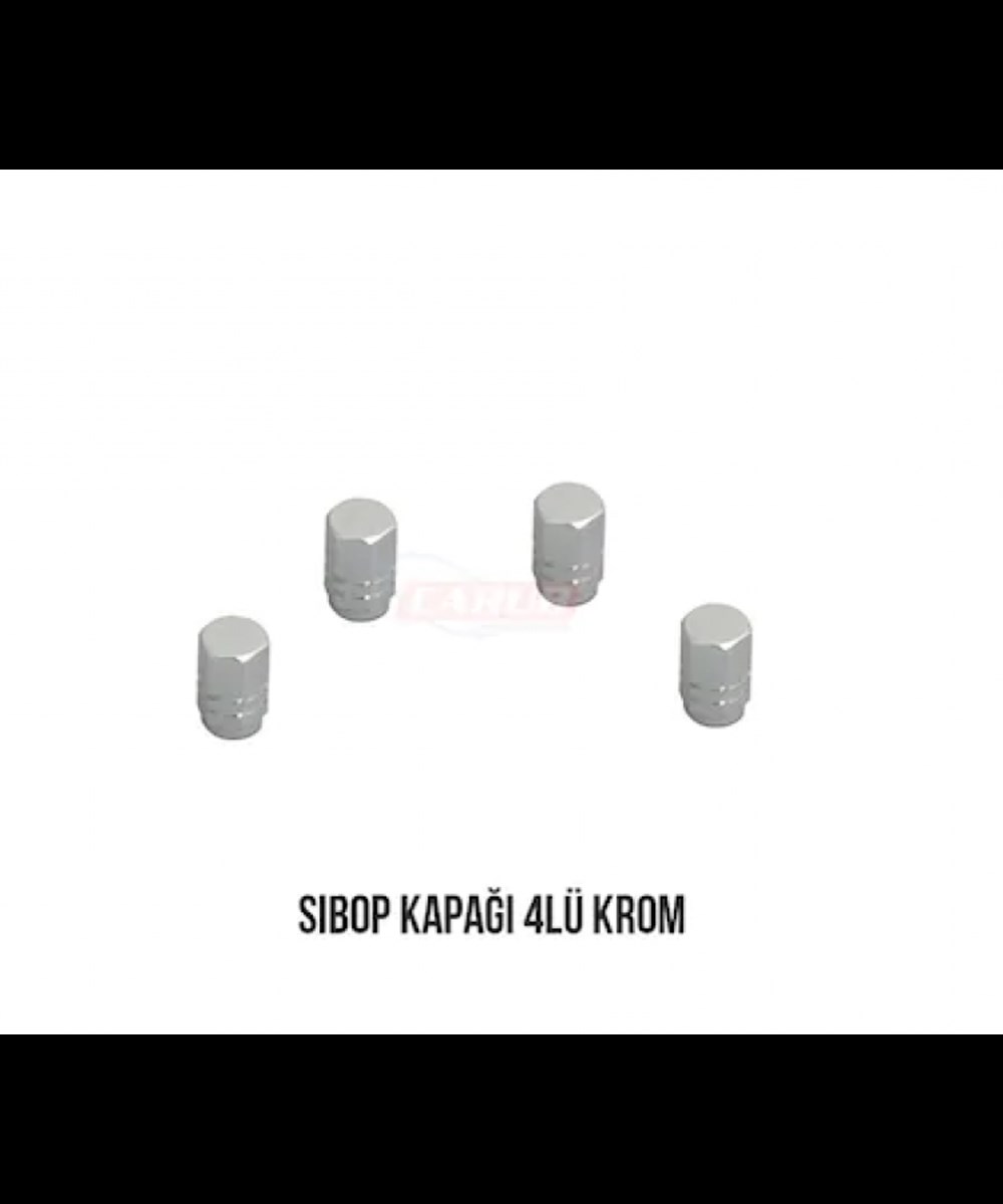 Sibop Kapağı Krom  4lü Takım Kod:5531116