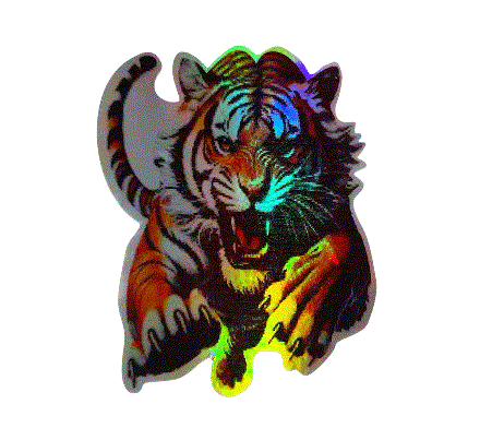 ÇIKARTMA KAPLAN HOLOGRAM 13X13CM KOD:1241