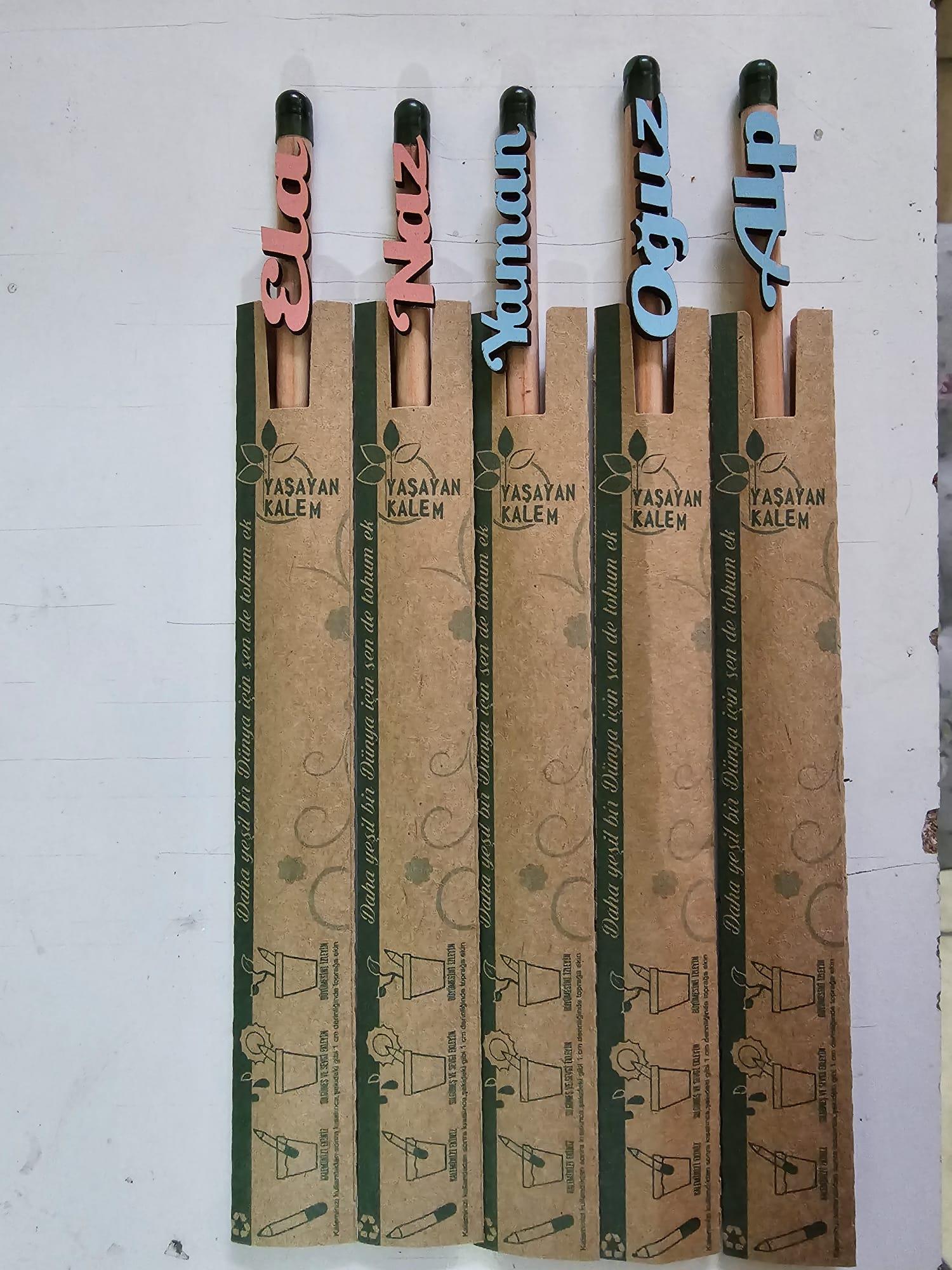Kişiye Özel 3 Boyutlu İsimli Tohumlu Kurşun Kalem (5'li Paket)