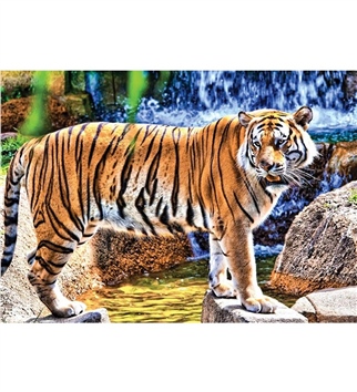 KS Games Animal Planet   Amazing Tiger