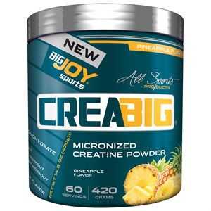Bigjoy CreaBig Powder 420 g