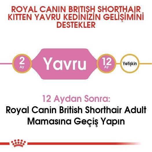 Royal Canin British Shorthair Kitten Kedi Kuru Maması 2 kg