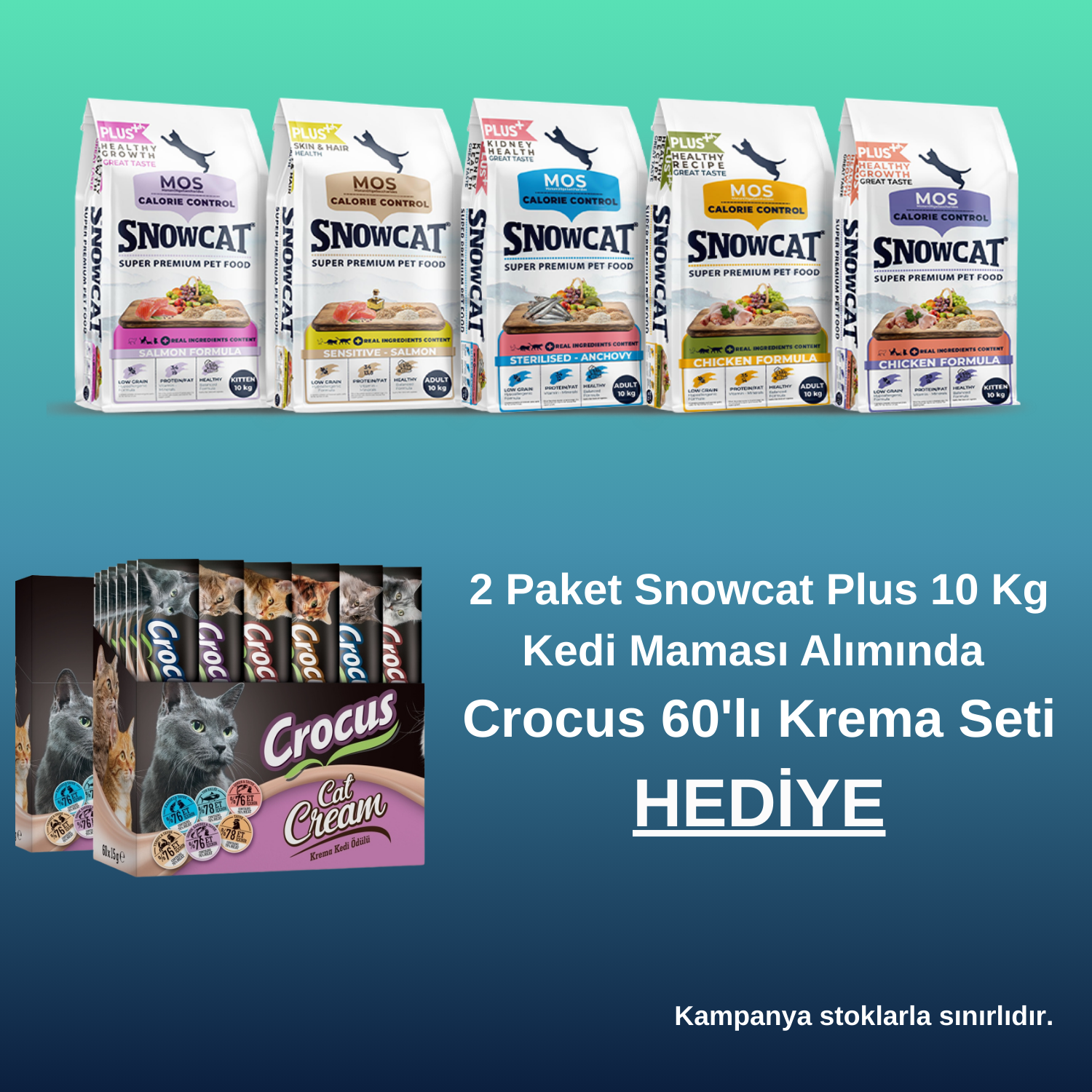 Snow Cat Plus Kampanyası - Crocus