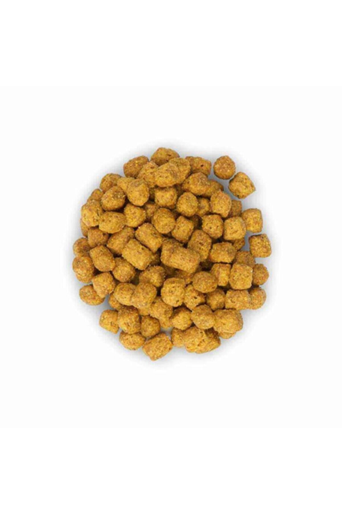 Hills Tavuklu Genç Yetişkin Kısır Kedi Maması 10 Kg