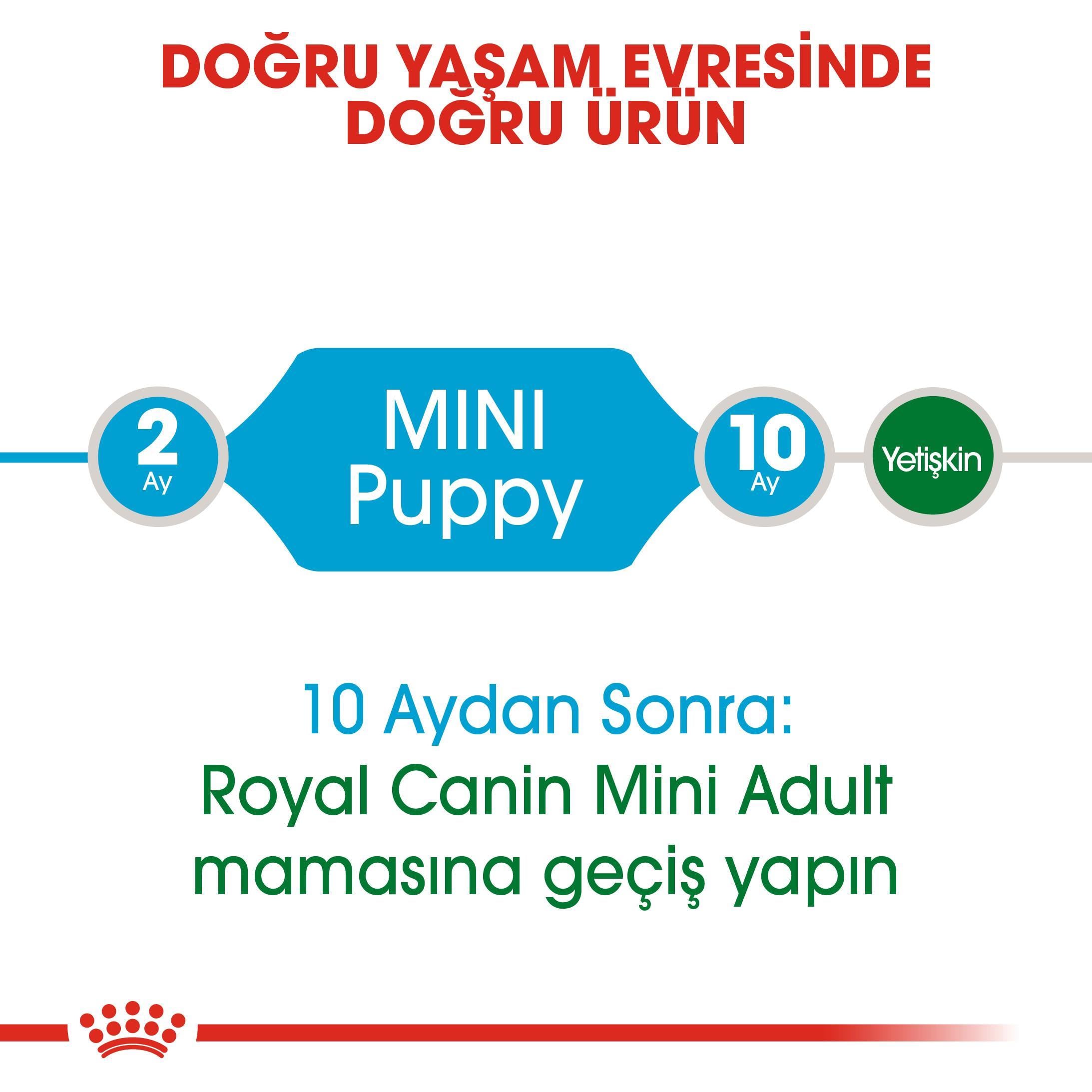 Royal Canin Küçük Irk Yavru Köpek Maması Mini Puppy 4 Kg