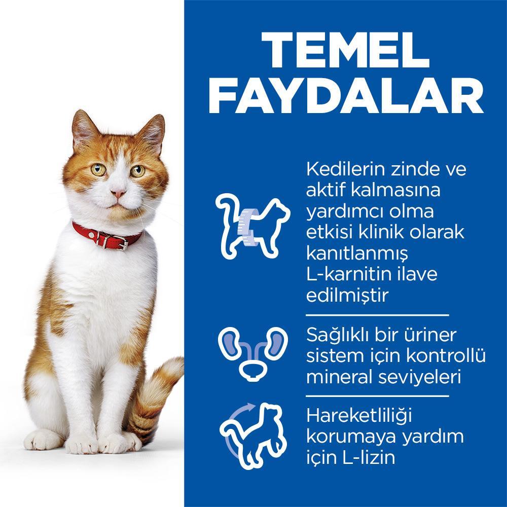 Hills Kısırlaştırılmış Somonlu Kedi Maması 10 Kg