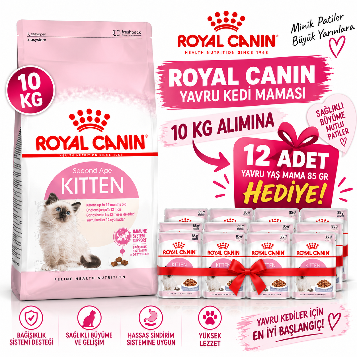 Royal Canin Yavru Kedi Maması 10 Kg