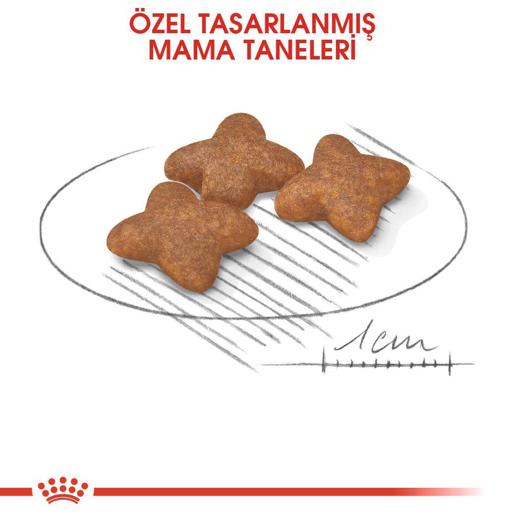 Royal Canin Küçük Irk Yetişkin Köpek Maması Mini Adult 4 Kg