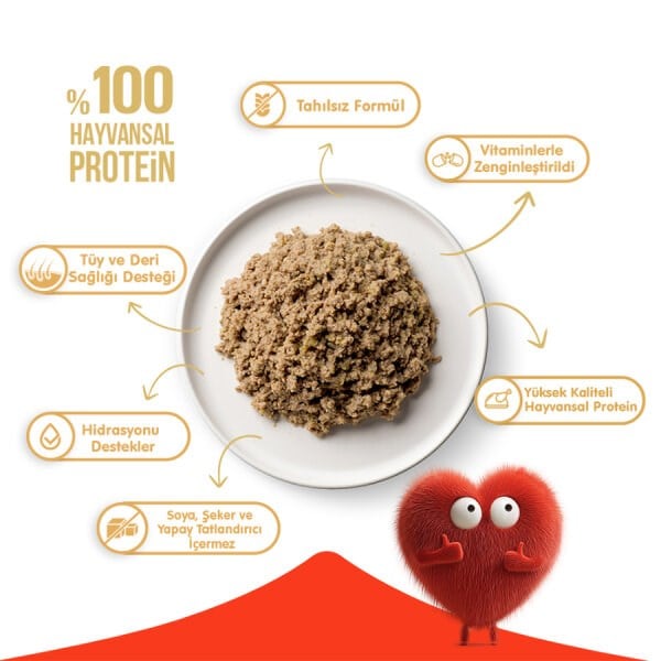 Wanpy Tahılsız Ton Balıklı Kedi Konservesi 375 gr