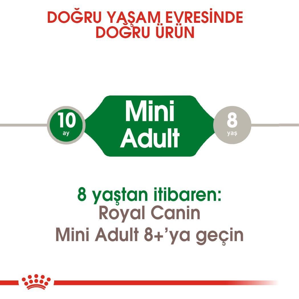 Royal Canin Küçük Irk Yetişkin Köpek Maması Mini Adult 4 Kg