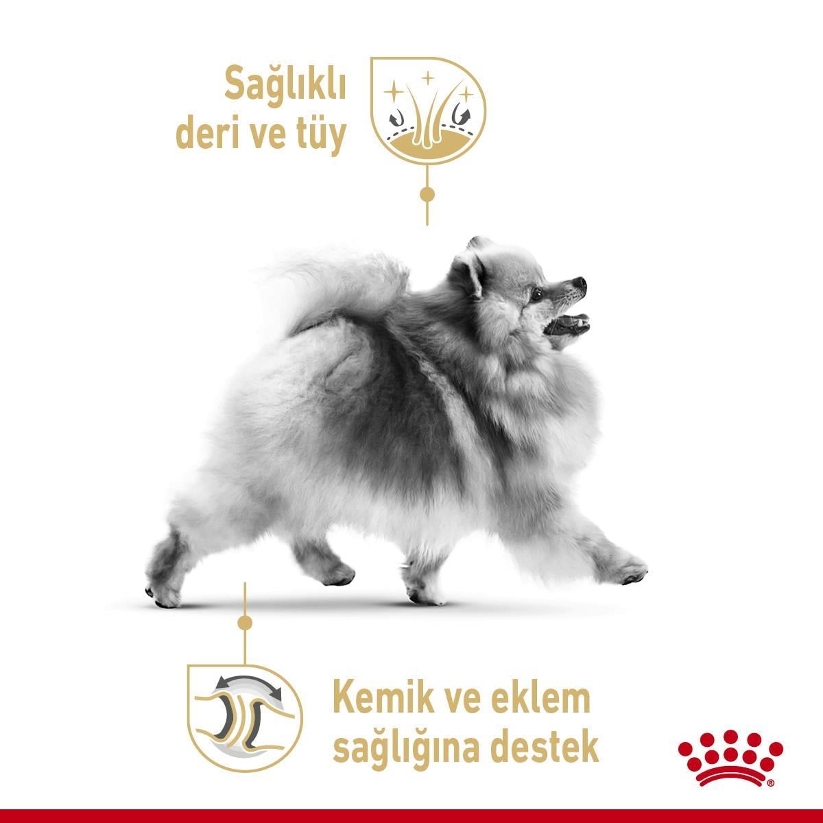 Royal Canin Pomeranian Yetişkin Köpek Maması 1,5 Kg