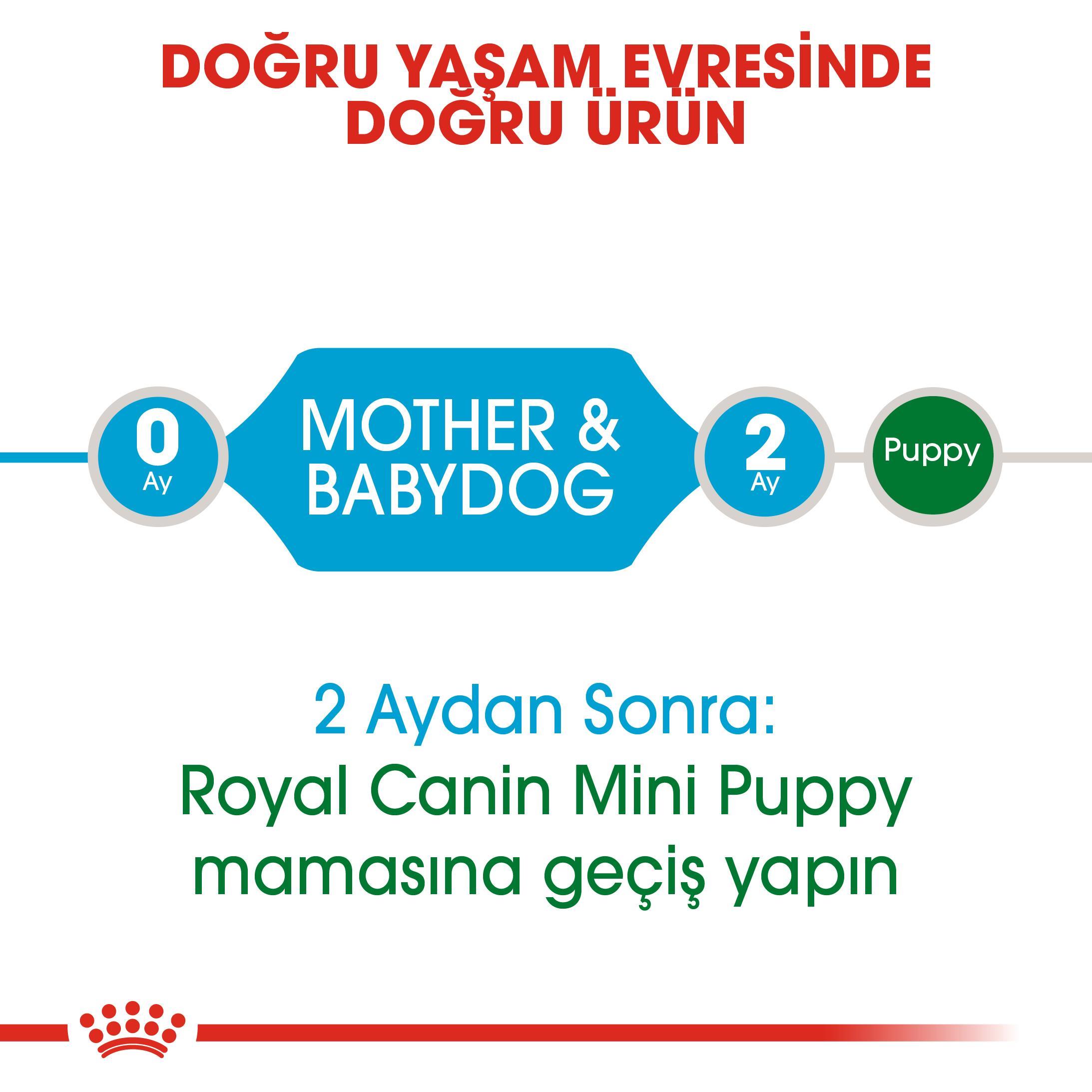 Royal Canin Mini Starter Küçük Irk Anne ve Yavru Köpek Maması 4 Kg