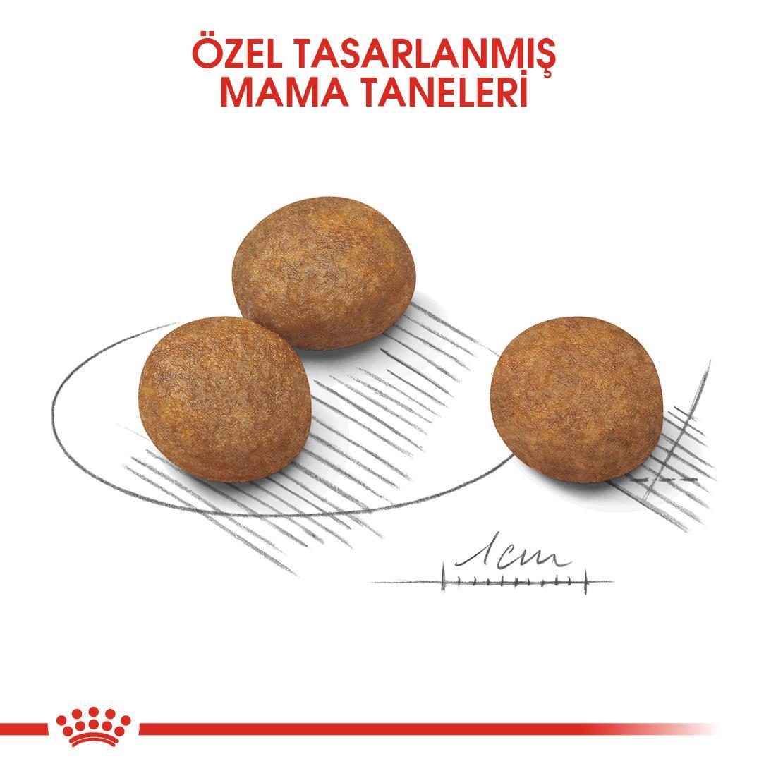 Royal Canin Büyük Irk Yavru Köpek Maması Maxi Puppy 15 Kg