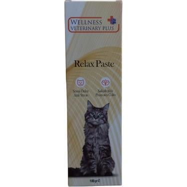 Wellness Veterinary Plus Relax Paste 100Gr