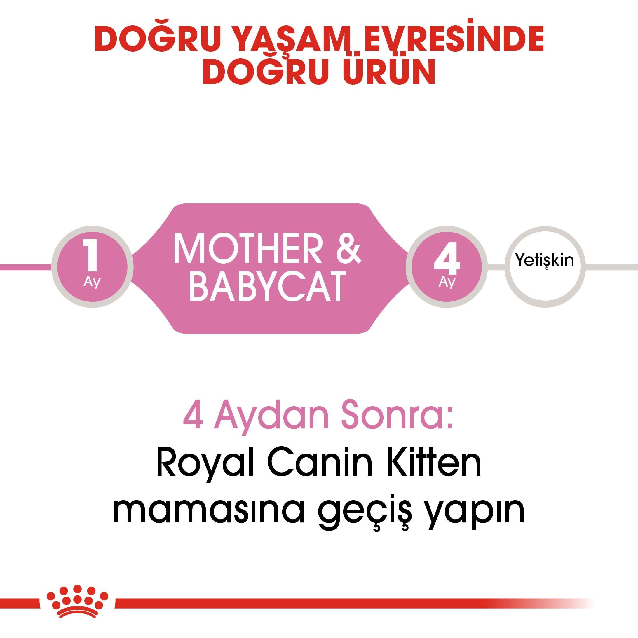 Royal Canin Babycat Yavru Kedi Maması 2 Kg