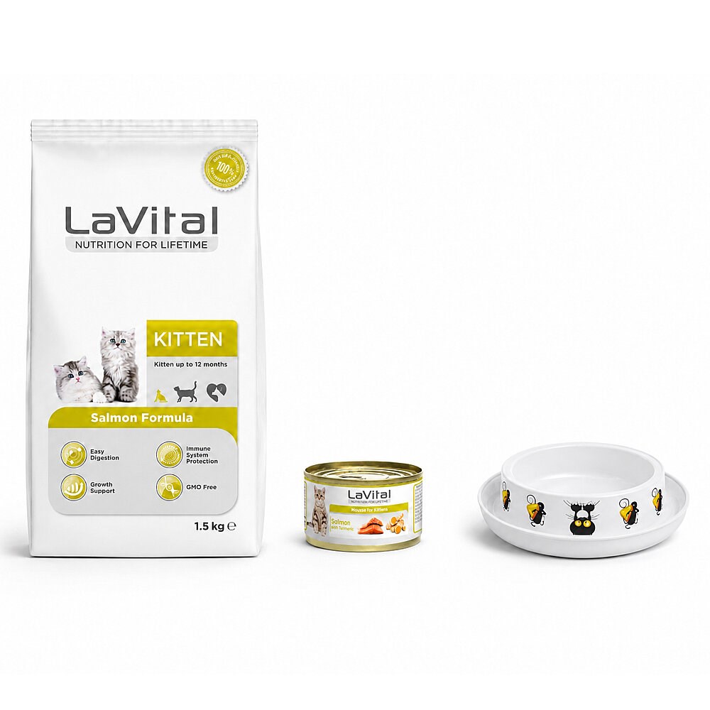 LaVital Yavru Kedi Başlangıç Seti