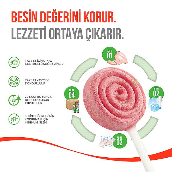 Wanpy Kızılcıklı Kedi Lolipop 1,4 Gr