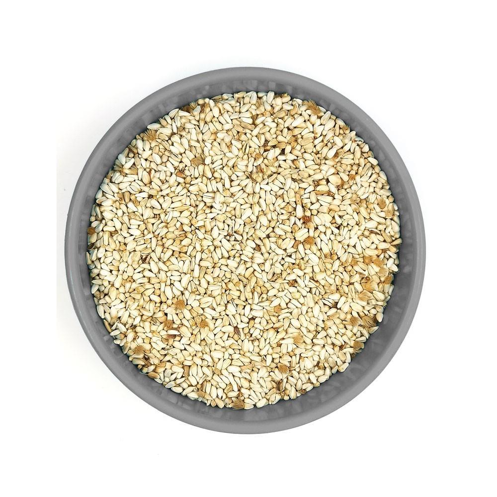 Aspir Tohumu 1 Kg