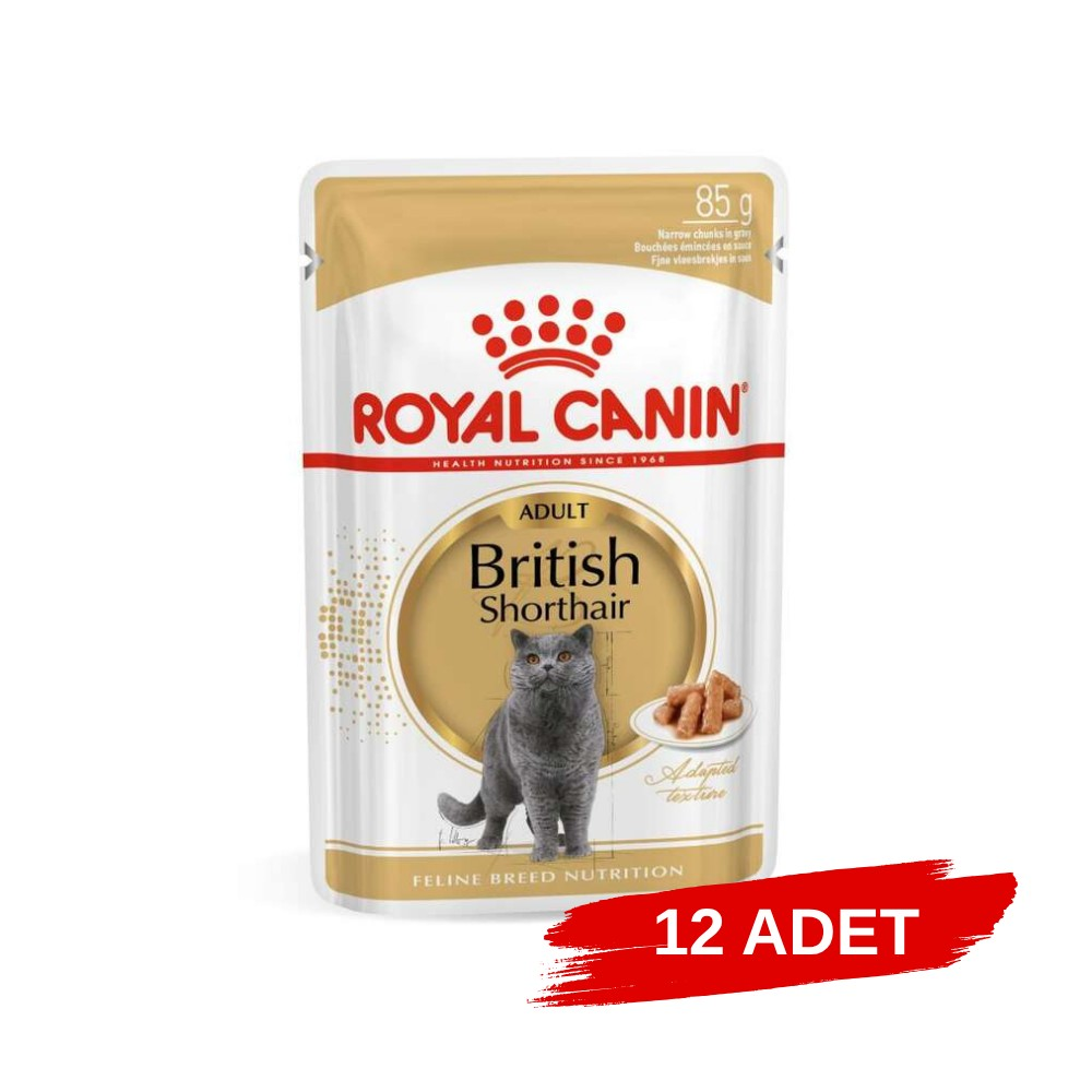 Royal Canin British Shorthair Yaş Kedi Maması 85 Gr x 12 Adet