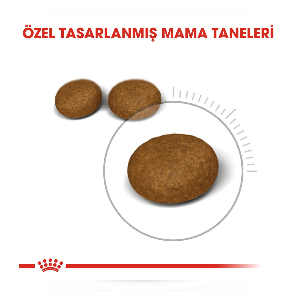 Royal Canin Hair Skin Tüy ve Cilt Destekli Kedi Maması 2 Kg