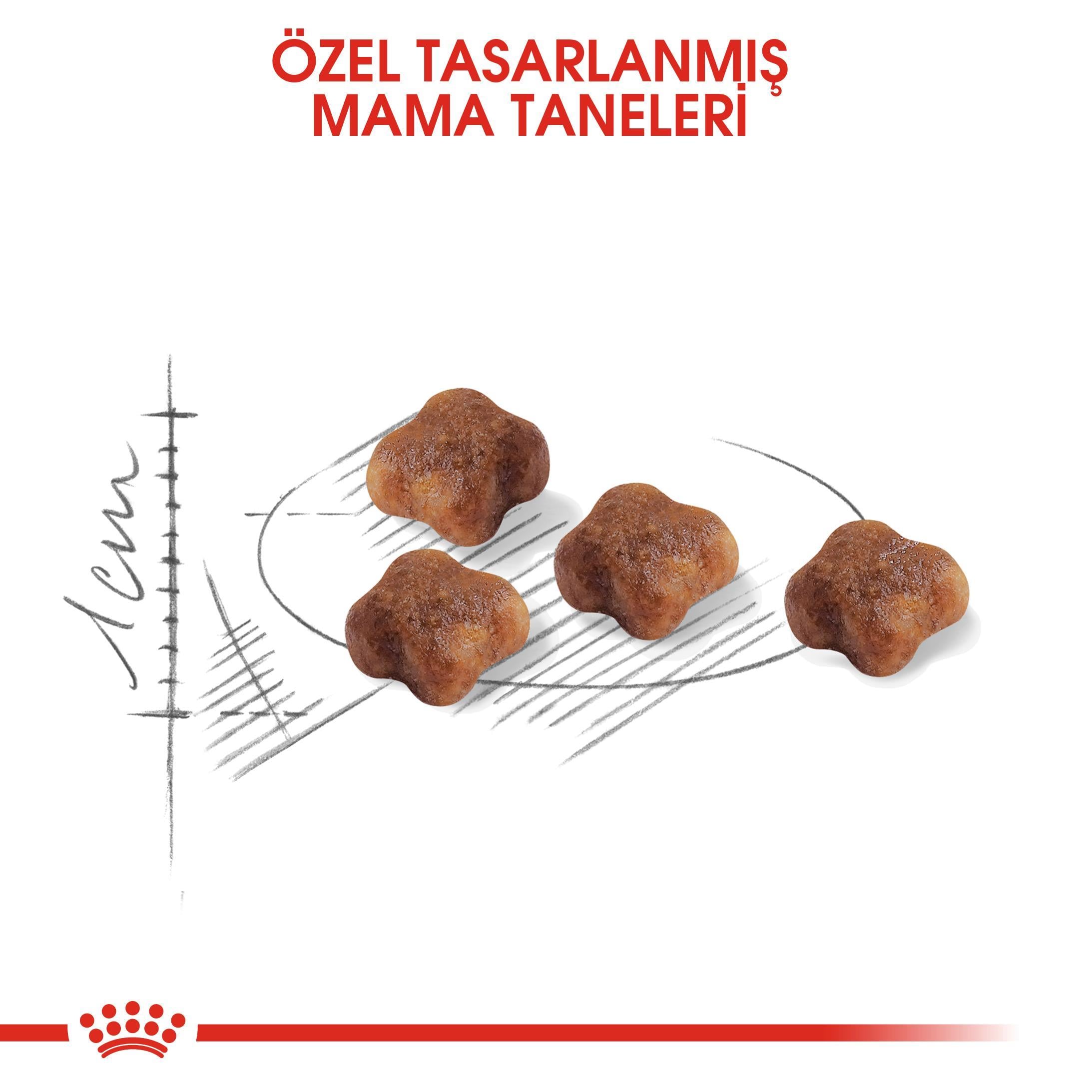 Royal Canin Babycat Yavru Kedi Maması 2 Kg
