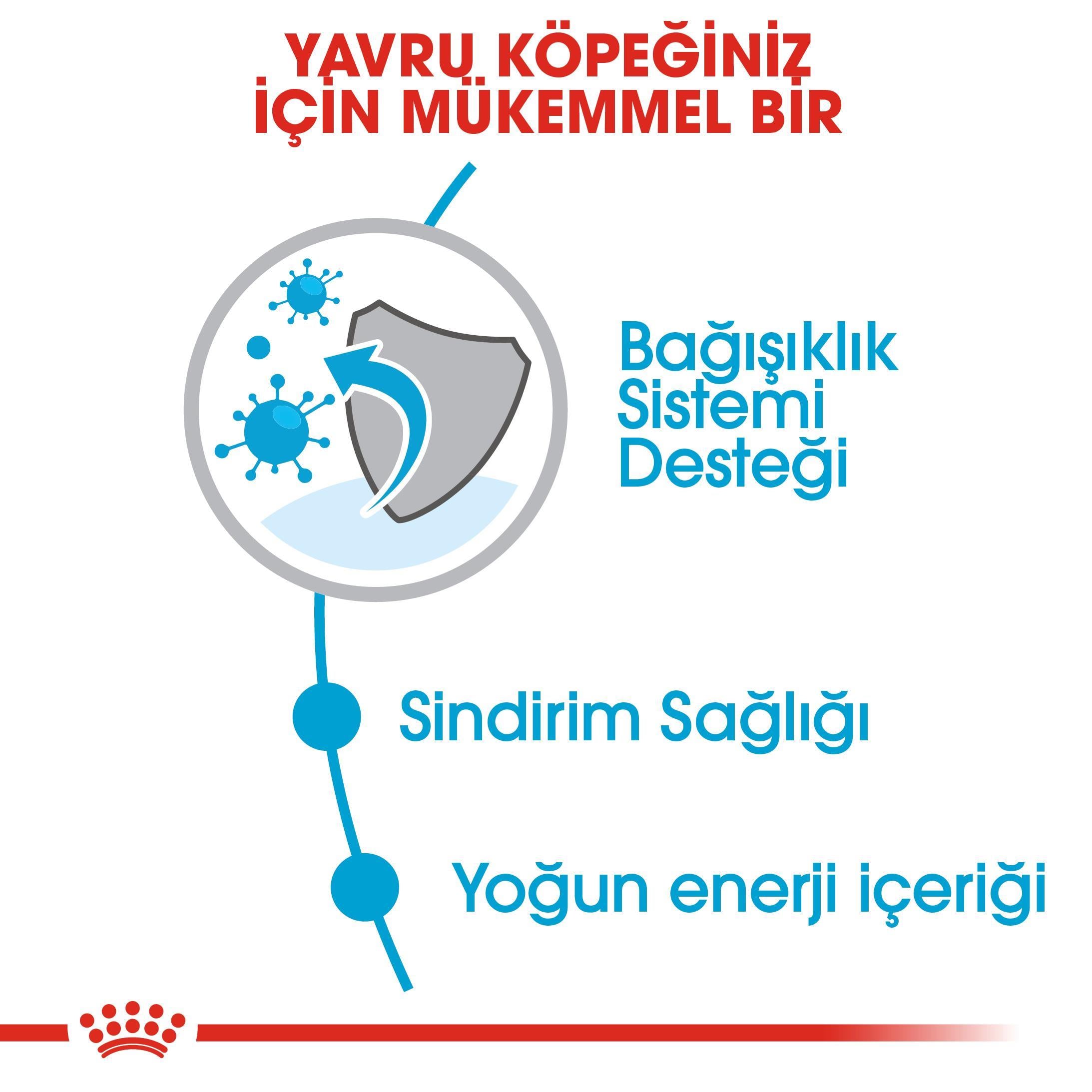 Royal Canin Küçük Irk Yavru Köpek Maması Mini Puppy 4 Kg