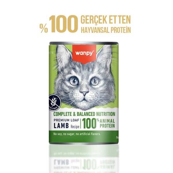 Wanpy Tahılsız Kuzu Etli Kedi Konservesi 375 gr
