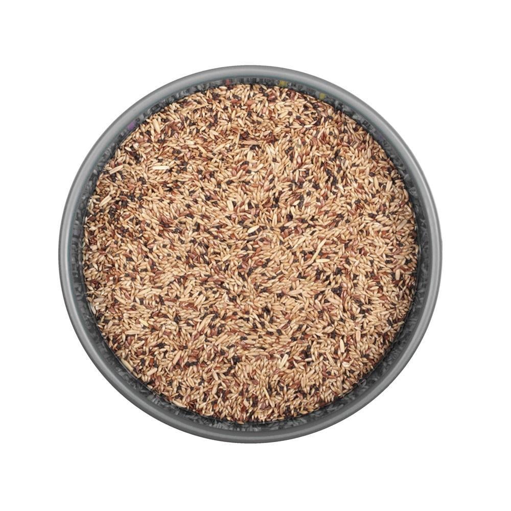 Karışık Kanarya Yemi 1 Kg