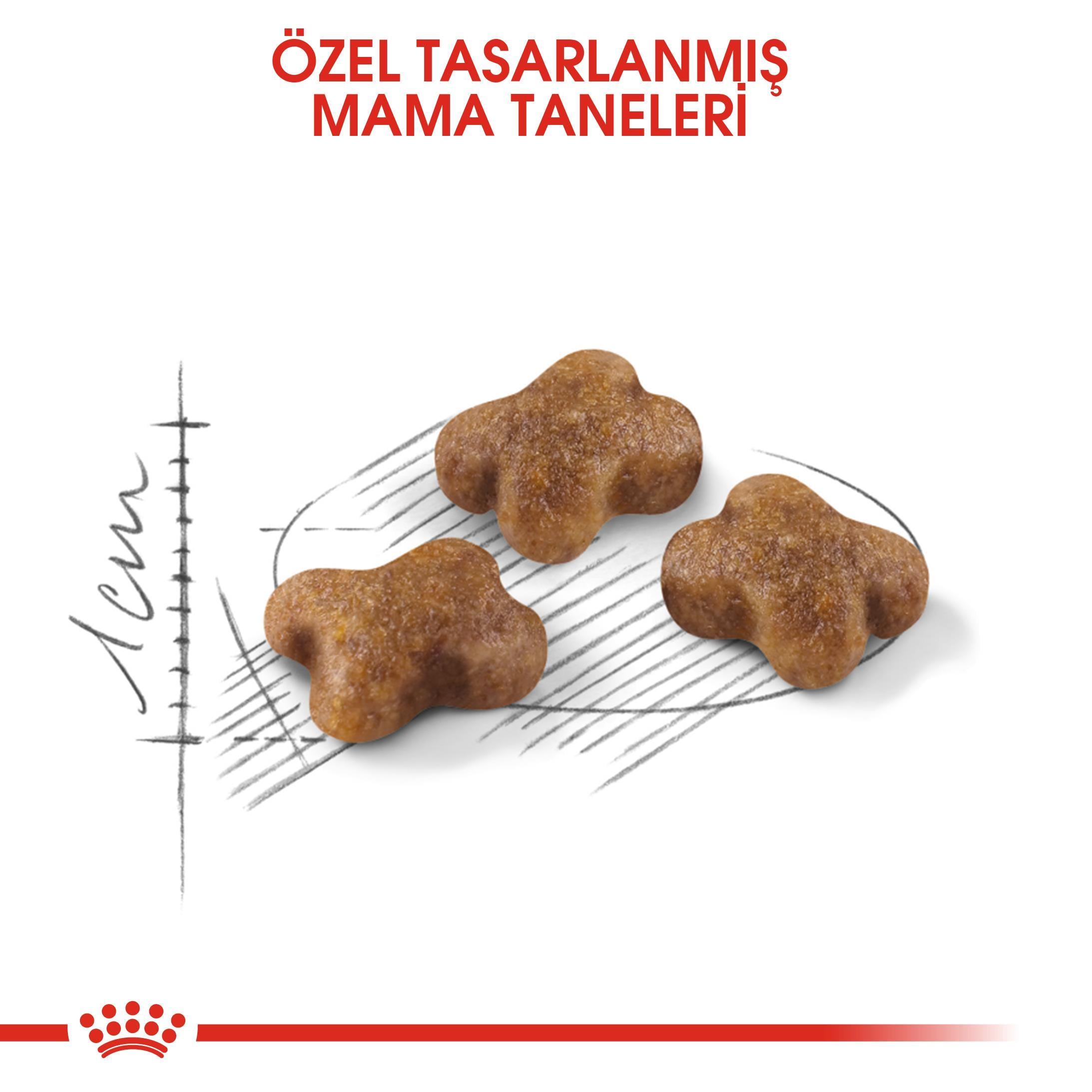 Royal Canin Yavru Kedi Maması 2 Kg