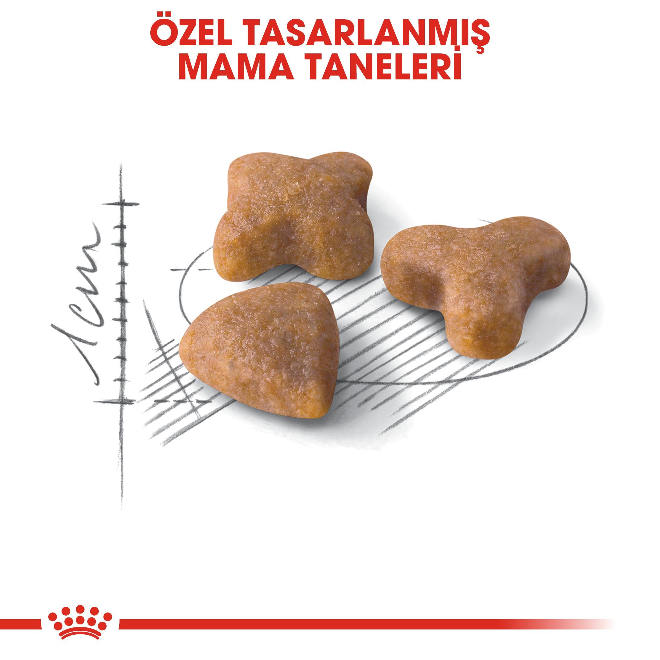 Royal Canin Sensible 33 Kuru Kedi Maması 2 kg