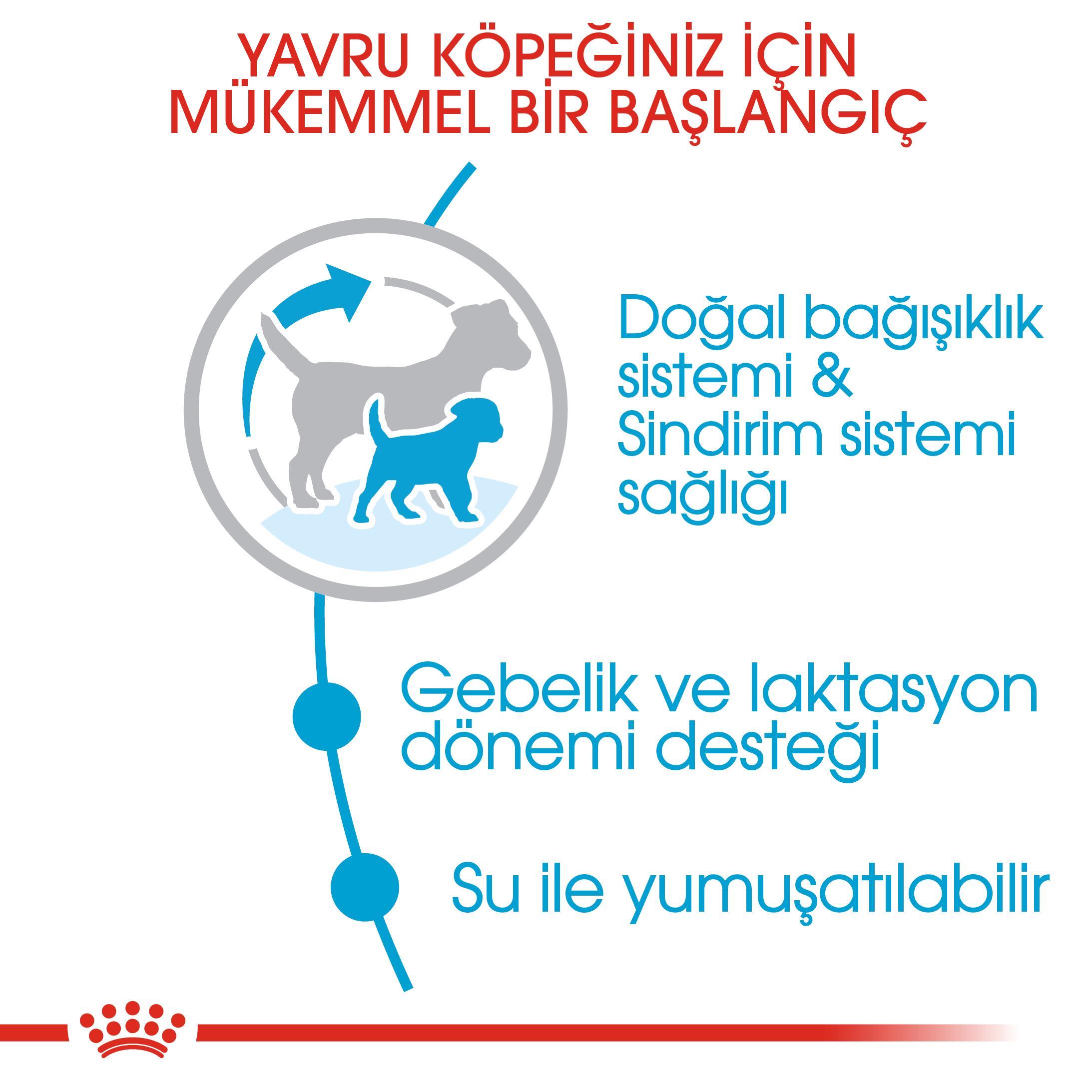 Royal Canin Mini Starter Küçük Irk Anne ve Yavru Köpek Maması 4 Kg