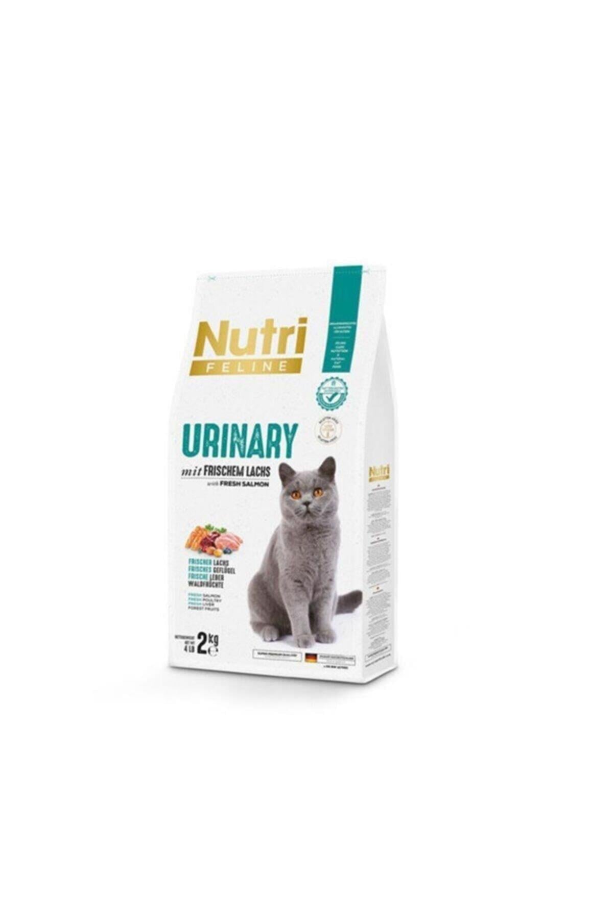 Nutri Böbrek Sağlığı Destekleyici Somonlu Düşük Tahıllı Yetişkin Kedi Maması 2 Kg