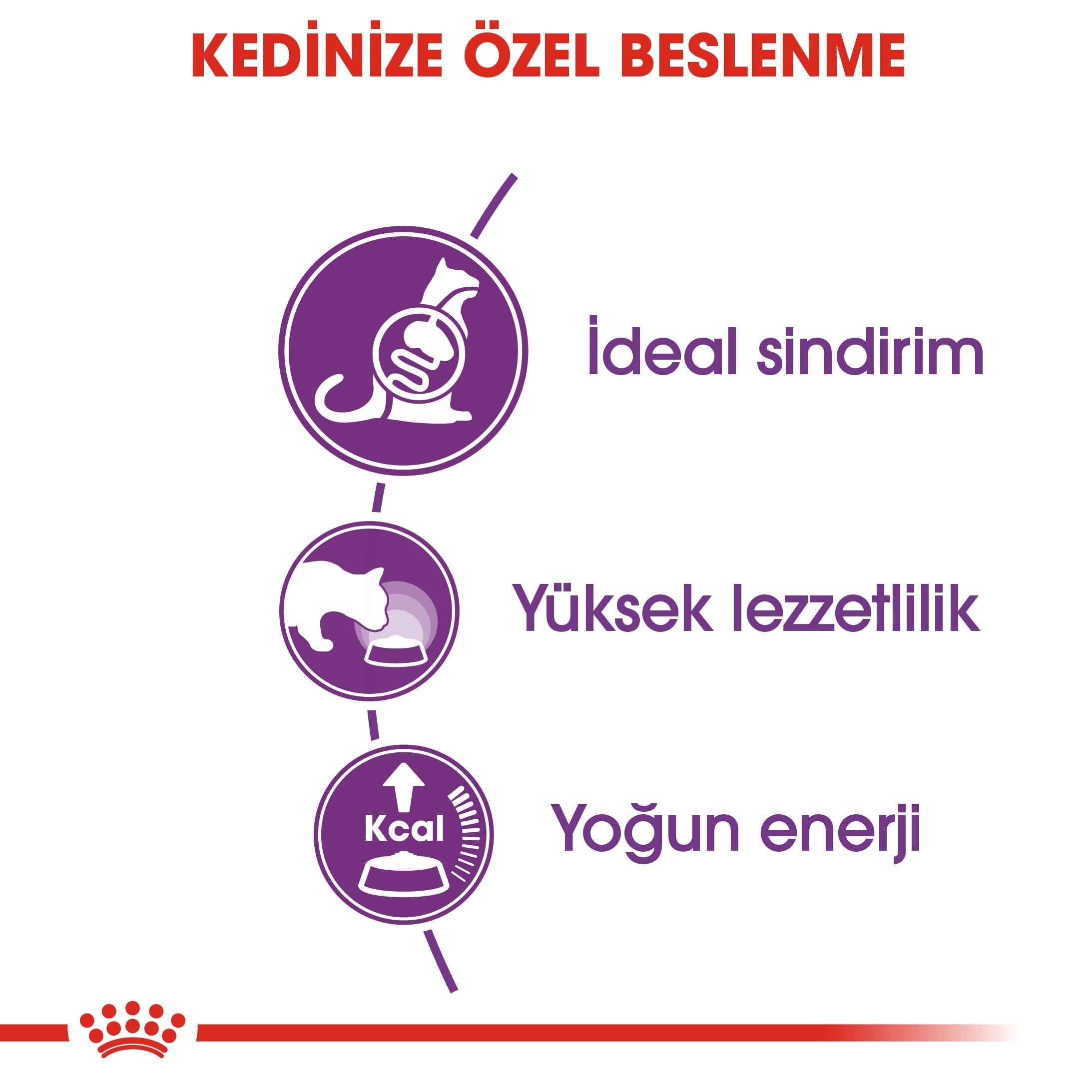 Royal Canin Sensible 33 Kuru Kedi Maması 2 kg