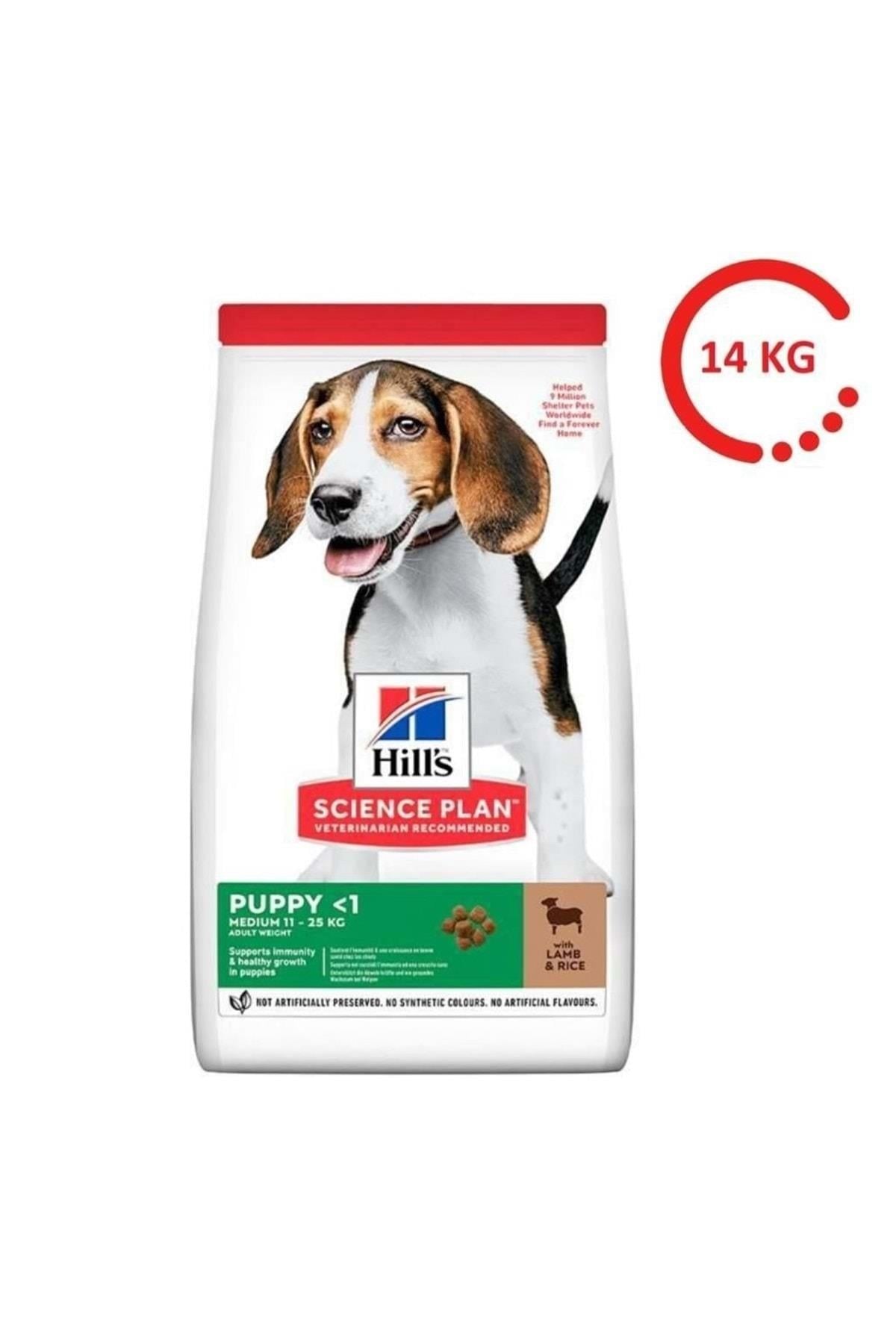 Hills Puppy Lamb Kuzu Etli Orta Irk Yavru Köpek Maması 14 Kg - İkizler Yem MarketHills Puppy Lamb Kuzu Etli Orta Irk Yavru Köpek Maması 14 Kg