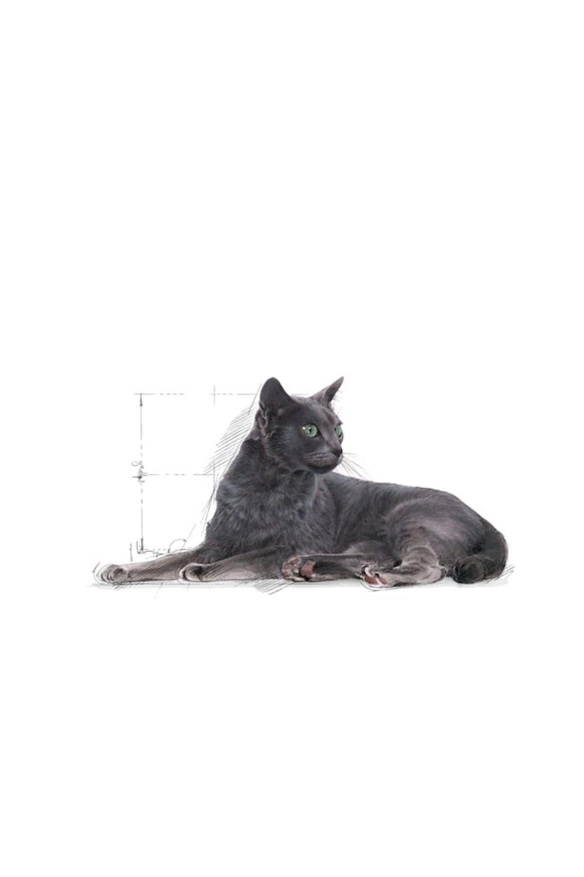 Royal Canin +7 Sterilised Kısırlaştırılmış Yaşlı Kedi Maması 3,5 Kg