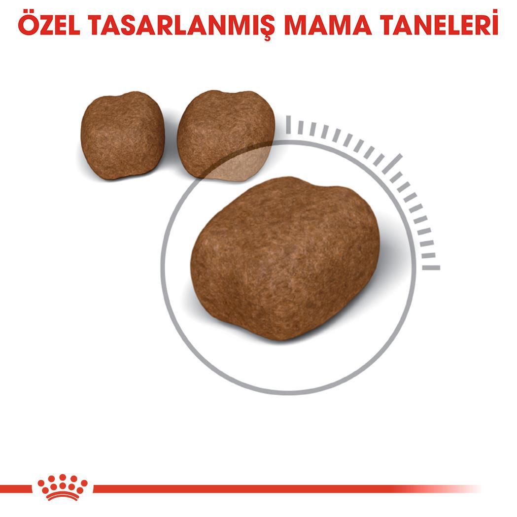 Royal Canin Dental Care Diş Sağlığı Kedi Maması 1,5 Kg