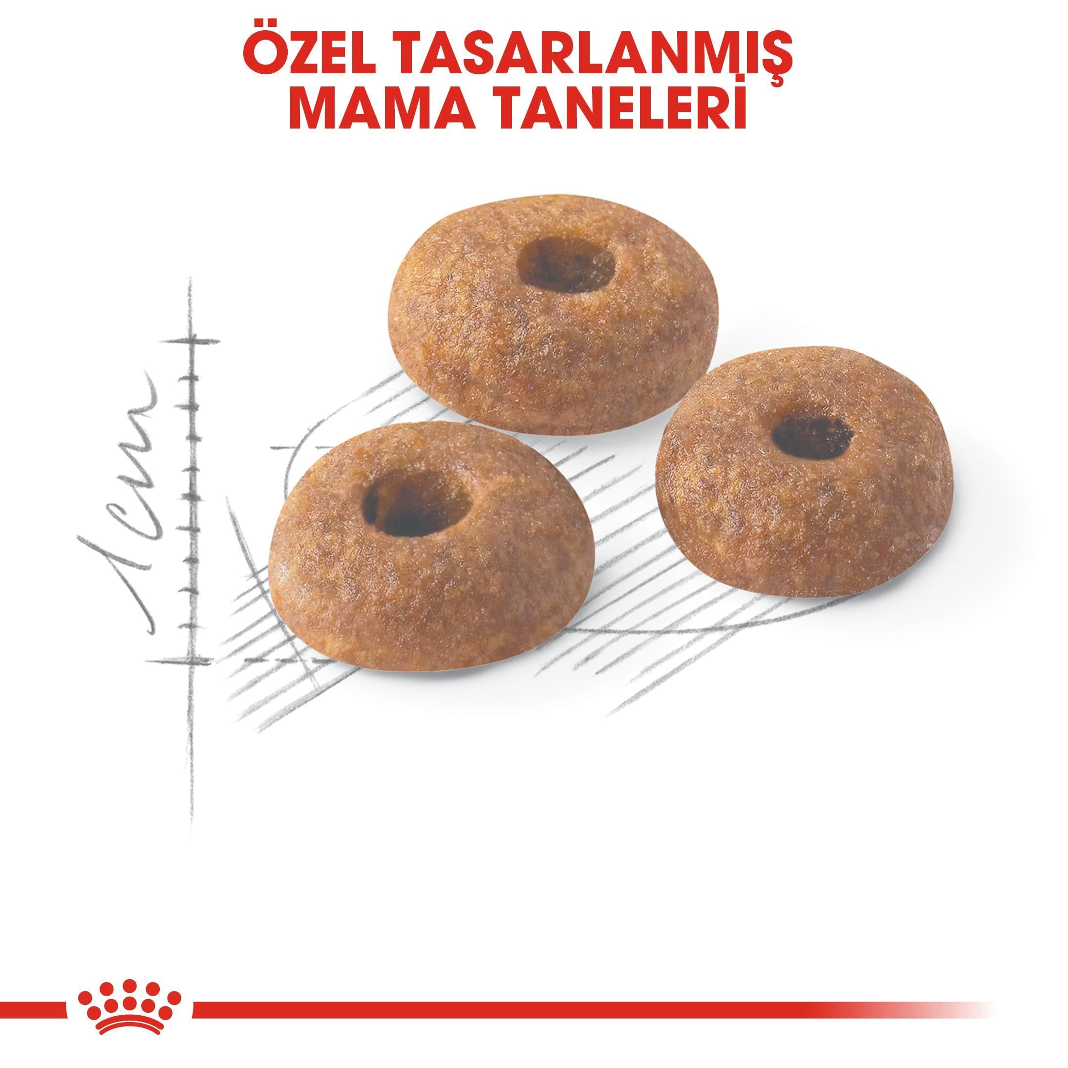 Royal Canin Fit 32 Kedi Kuru Maması 4 kg