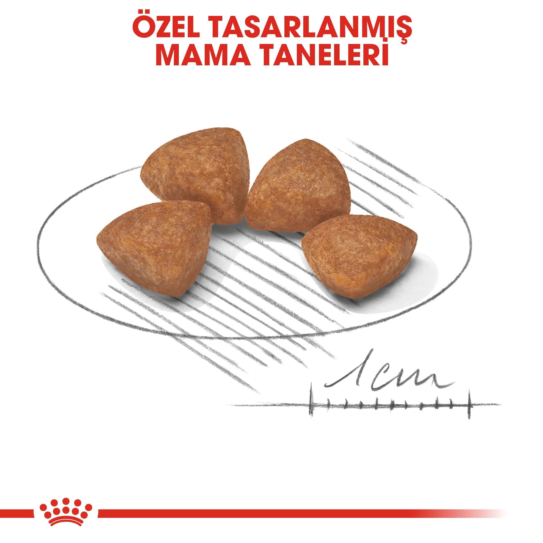 Royal Canin XSmall Puppy Küçük Irk Yavru Köpek Maması 1,5 Kg