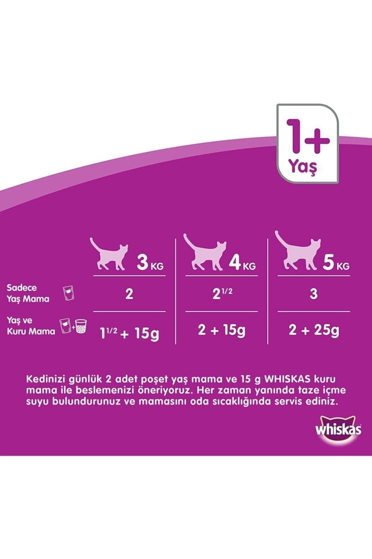 Whiskas Pouch Kedi Maması Kümes Hayvanlı Jöleli 4x85 Gr