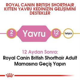 Royal Canin British Shorthair Kitten Kedi Kuru Maması 2 kg