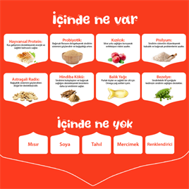 Wanpy Tahılsız Tavuklu Yavru Kedi Maması 8 kg