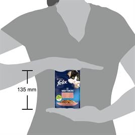 Felix Yaş Kedi Maması Somonlu 85 Gr
